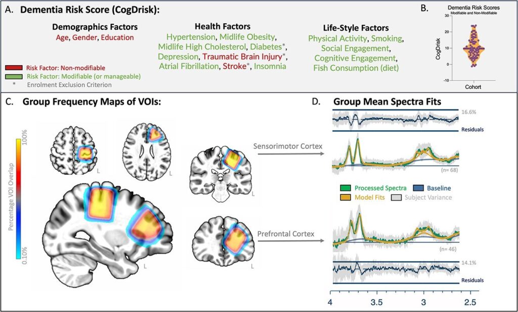 Brain chemical shifts tied to lifestyle may predict dementia risk Your lifestyle could b.jpg