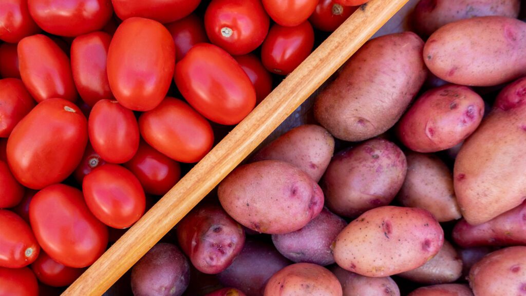 073025 jb tomatopotato.jpg