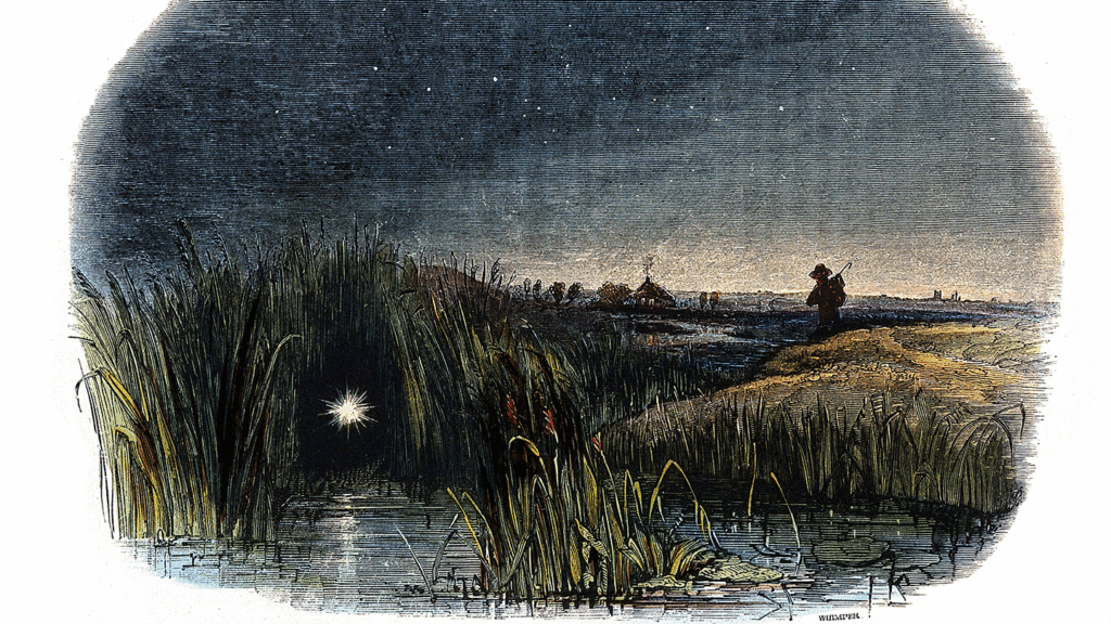 1440 swamp lights willow wisp feat2 crop3.png