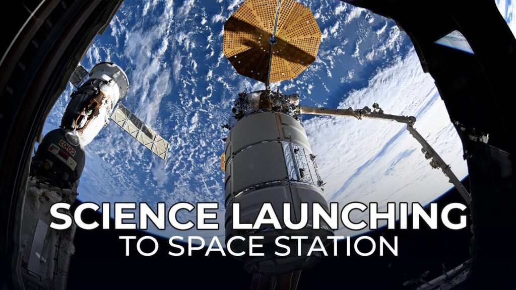 1757159357 maxresdefault.jpg