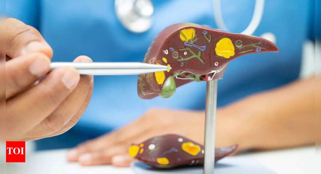 1757261223 photo.jpg