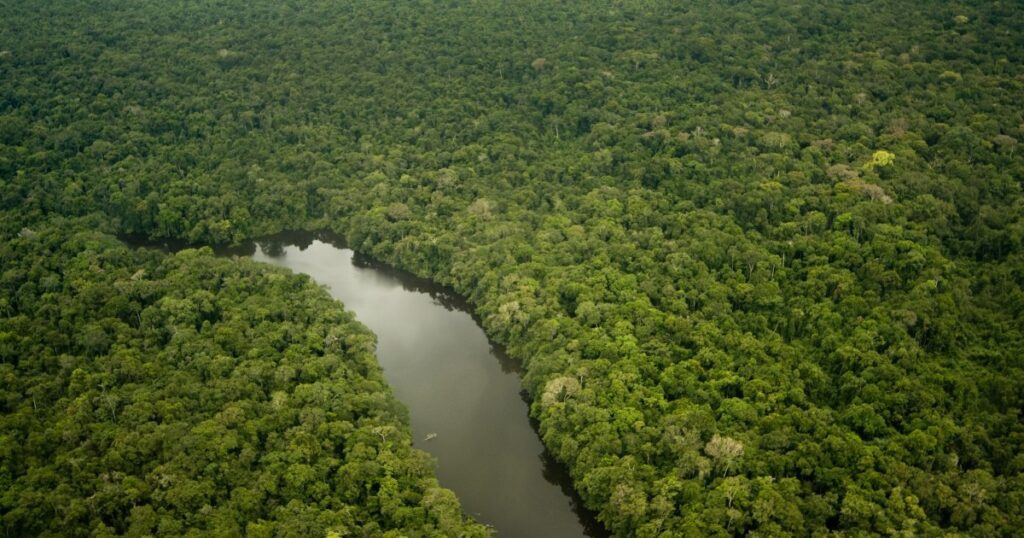 250927 amazon rainforest 5e753d.jpg