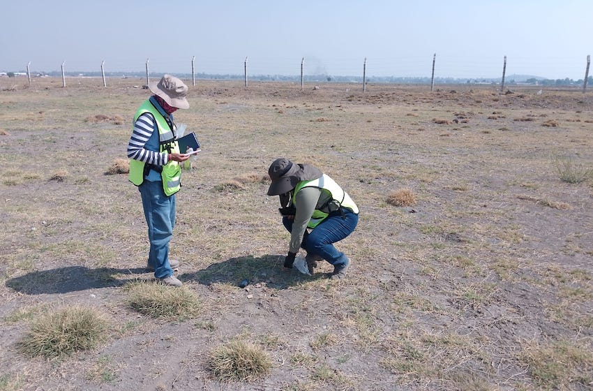 INAH examining planned train routes to protect historic sites Recuperacion de material arqueologico en superficie. foto dsa.jpg