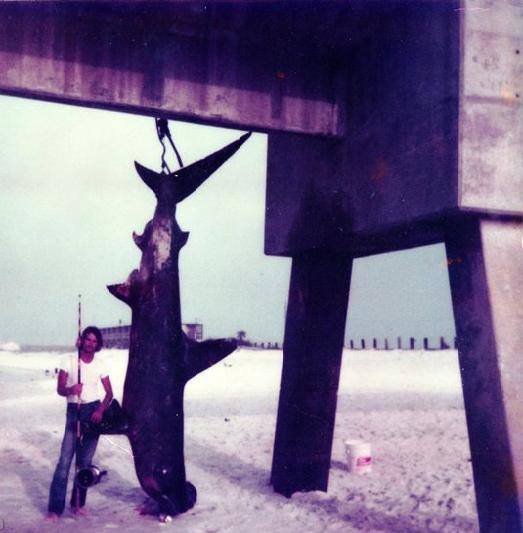 EDITORIAL: Don’t Let Navarre Chamber Shred the Fabric of Holley-Navarre’s Rich Heritage & Culture Roddy.jpg