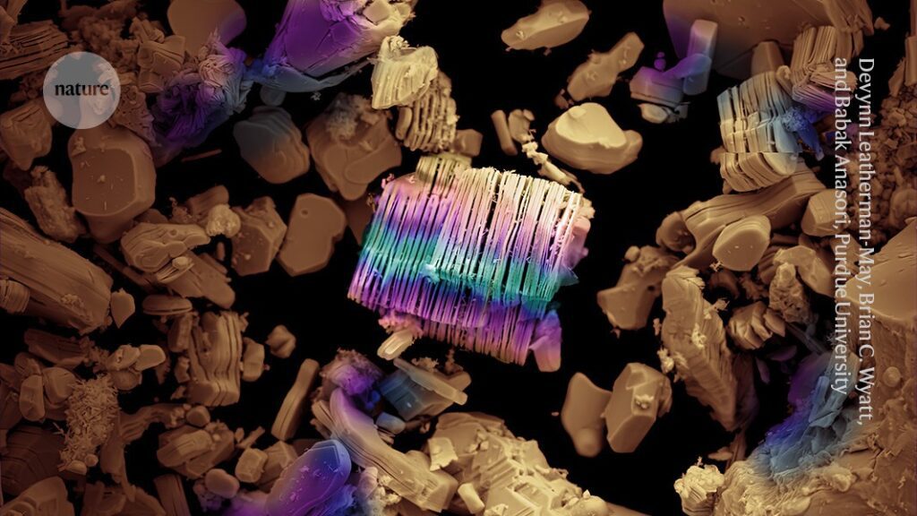 D41586 025 02839 6 51421920.jpg