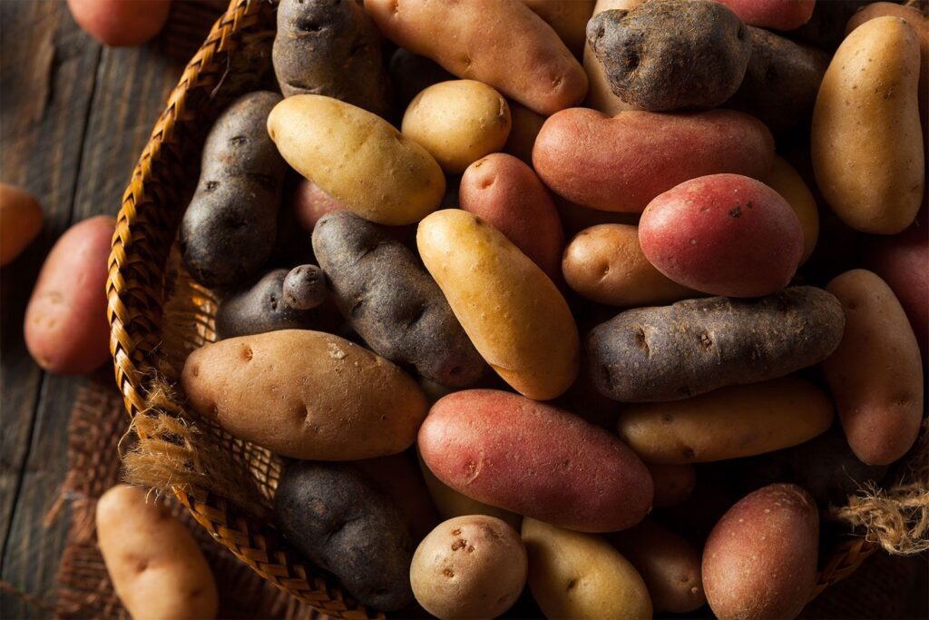 Fingerling potatoes.jpg
