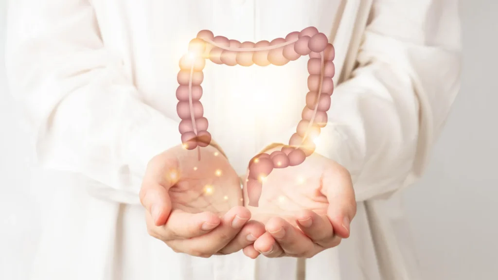 Healthy large intestine anatomy.webp.webp