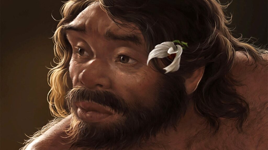 Neanderthal skull rt jt 250926 1758904035773 hpmain 16x9.jpg