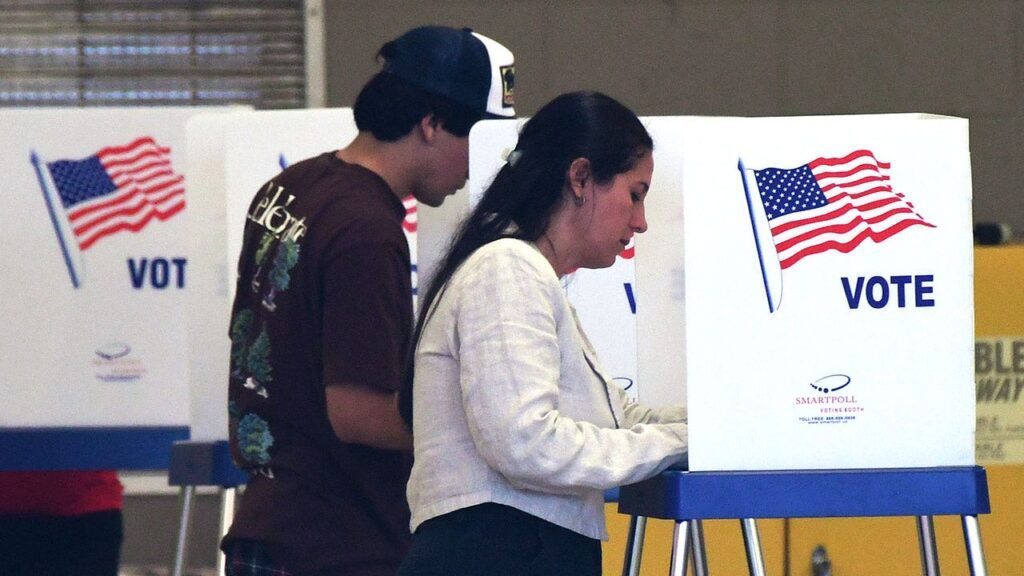 Democrats must engage culture wars, not hide behind stats, says party insider People voting united state november 2024 getty.jpg