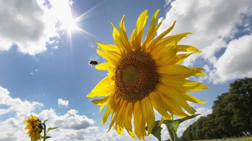 New study ranks US cities by quality of life Sunshine getty.jpg