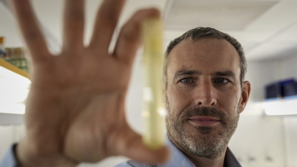 Warming seas may halve key phytoplankton species’ population in tropical oceans Urlhttps3a2f2fassets.apnews.com2f442ff62f36b22c91a927494eb982b140e5502f7430de5b94024601b5ac.jpeg