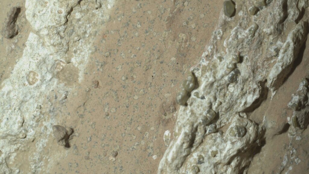 Past life on Mars? NASA rover finds strongest hints yet in Martian rocks Urlhttps3a2f2fassets.apnews.com2fb12f832f39879c17853b20c6eadbc65d17ee2fea745880ffa34cfeb7b5.jpeg