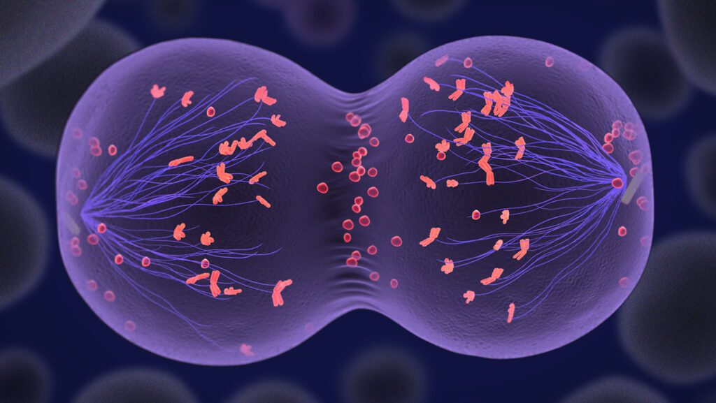 093025 ts chromosomes feat.jpg
