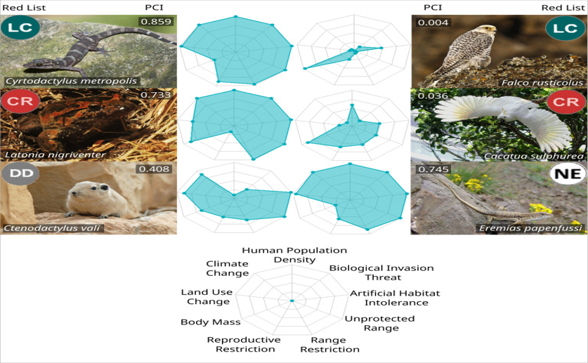 New tool identifies overlooked areas crucial for protecting animals 15836 main.jpg