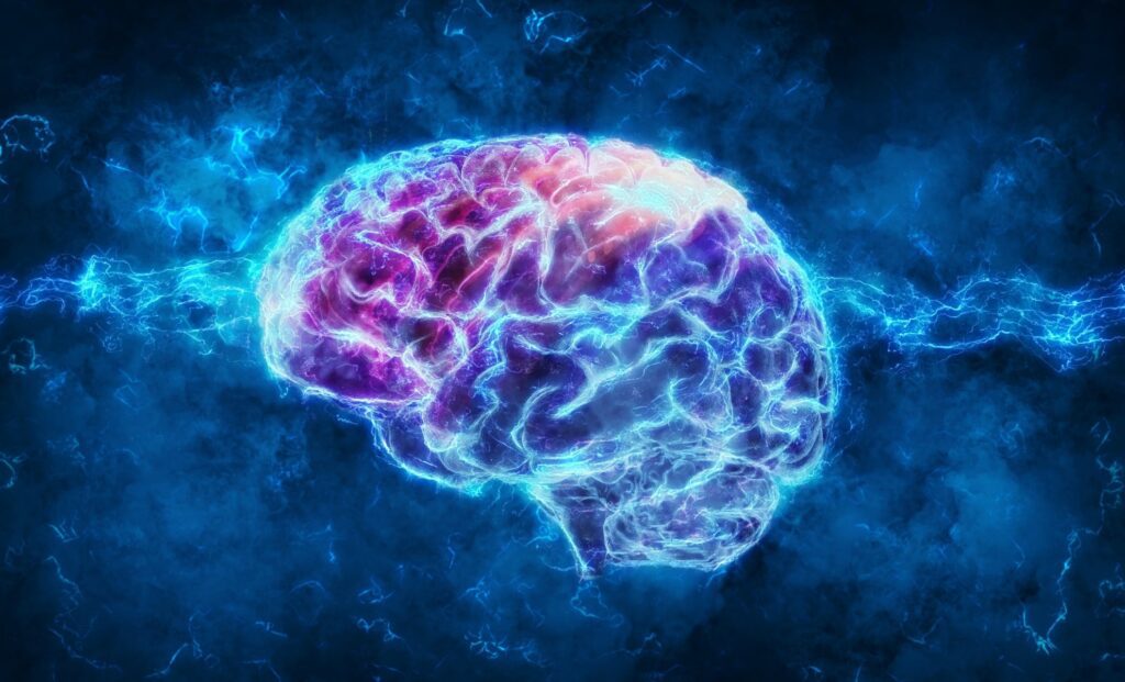 3d rendering of a brain.jpg