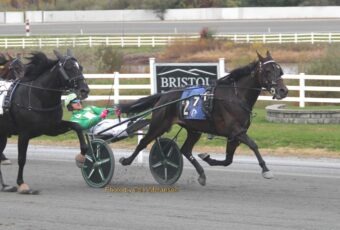 Memorynimagination, A New Leader go career miles at Plainridge – U.S. Trotting News Memorynimagination 340x230.jpg