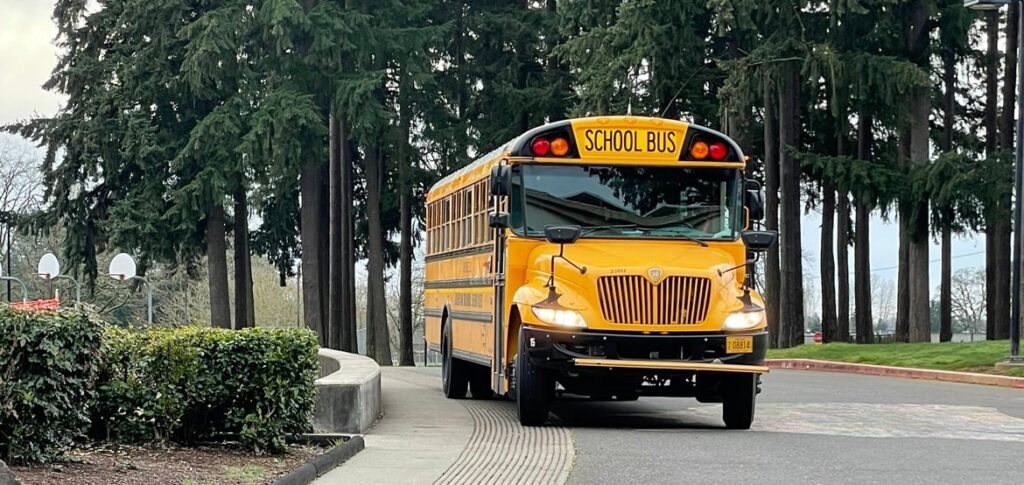School bus filler.jpg