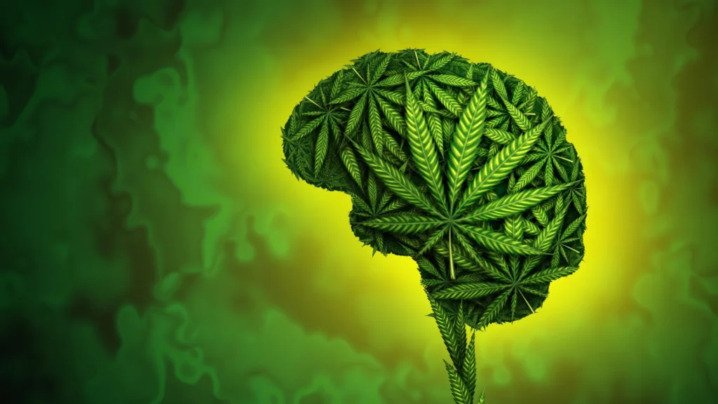 Cannabis effects brain mental health.webp.webp