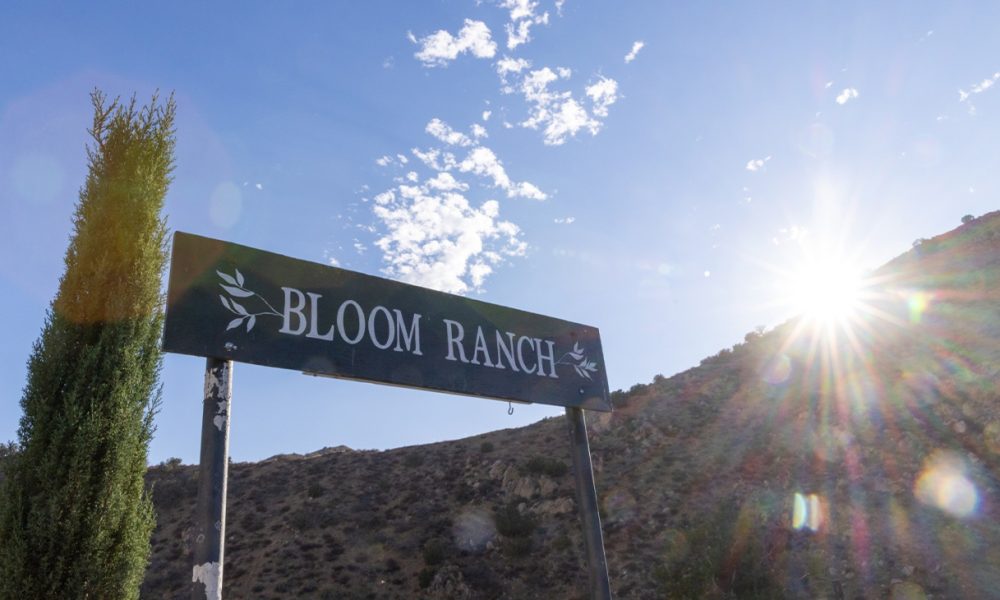 Prescribing Prevention: Doctors Turn to Lifestyle, Herbs and Veggies to Protect Against Chronic Illness in Black Californians Prescribing prevention featured web 1000x600.jpg