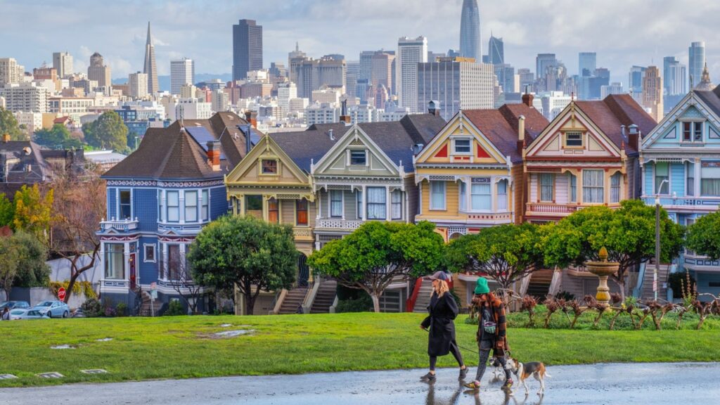 San francisco sees rising complaints about dogs fox news.jpg
