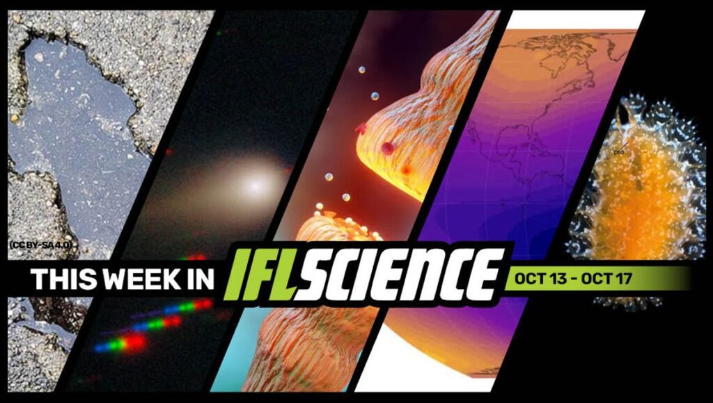 This week in science meta.jpg