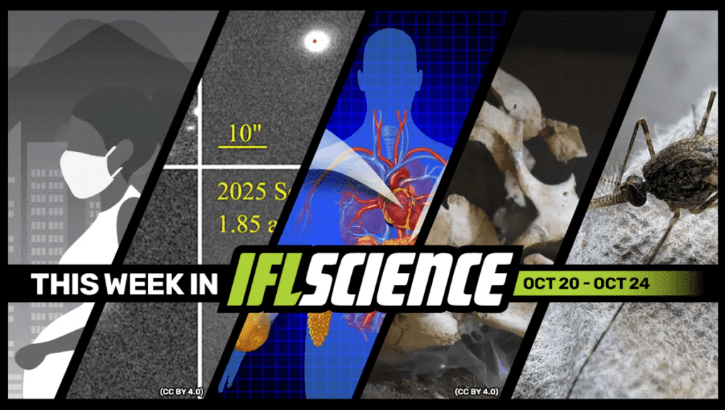 Potential Environmental Trigger For Autism Identified, 3I/ATLAS’s Tail Appears To Have Changed Direction, And Much More This Week This week in science meta.png