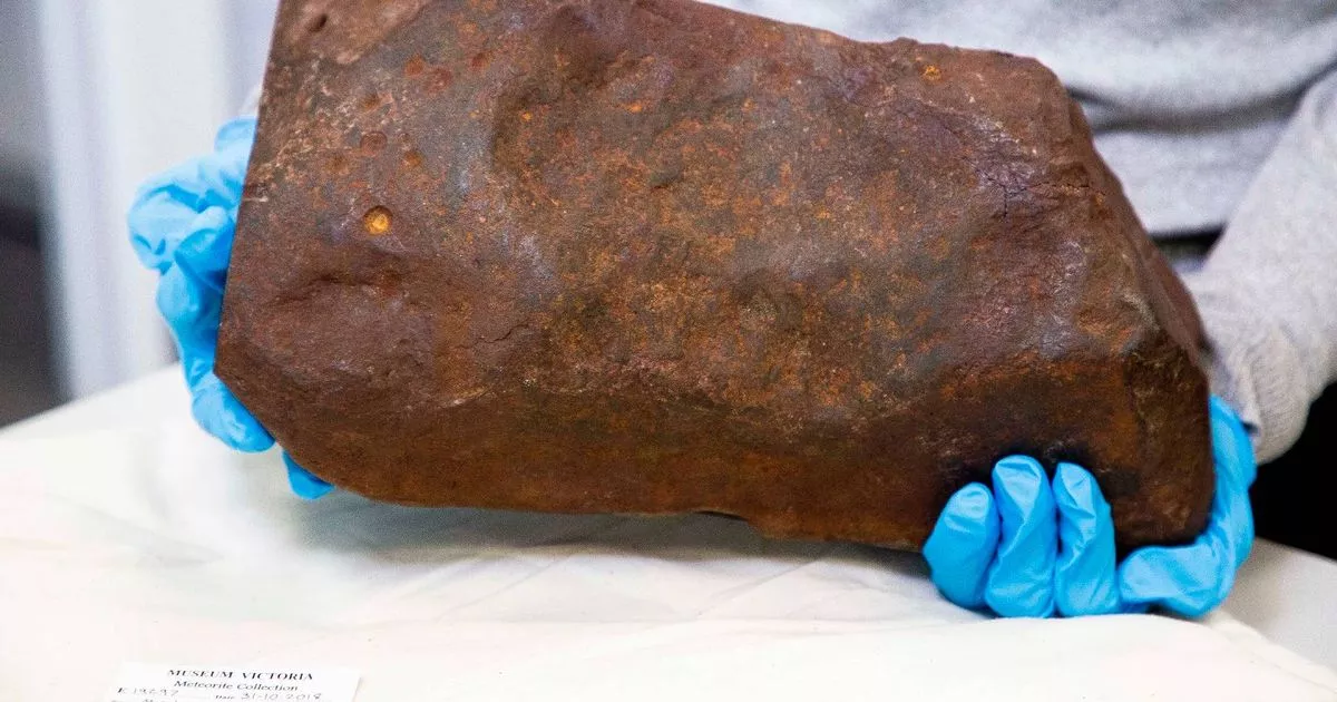 Man finds rock ‘made of gold’ on beach but when it’s cracked open he’s left stunned 0 Maryborough Meteorite Credit Museums Victoria Rod Start 7.jpg