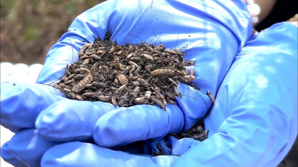 103025 mr forensic feat social1.jpg