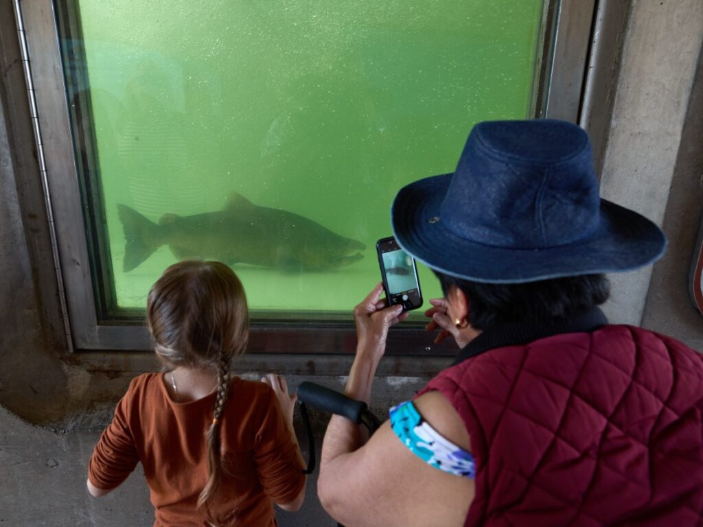 How should California bring back its ‘salmon society?’ 103025 oroville salmon festival p.jpg