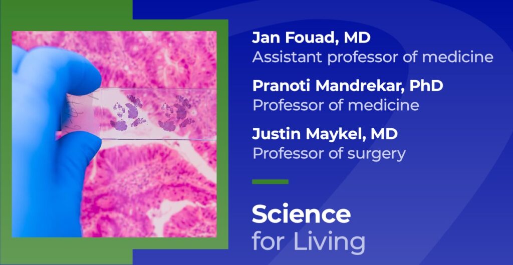 UMass Chan experts on rising cancer rates and role of alcohol, environment, lifestyle 11 19 scienceforliving risingcancerrates.jpg