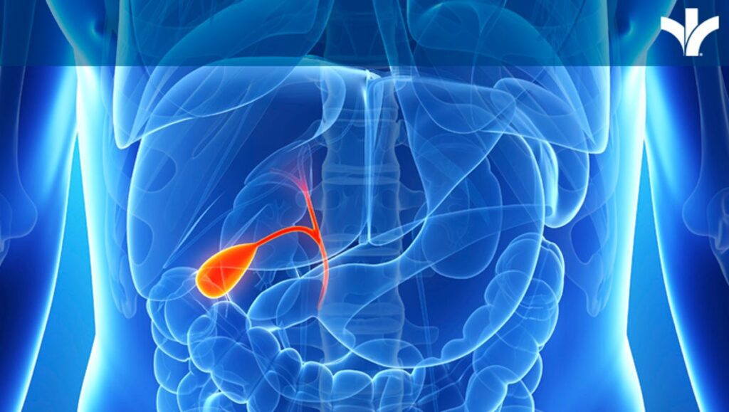 Gallbladder issues could be attributable to our diet and lifestyle 1403123457000 gallbladder logo.jpg