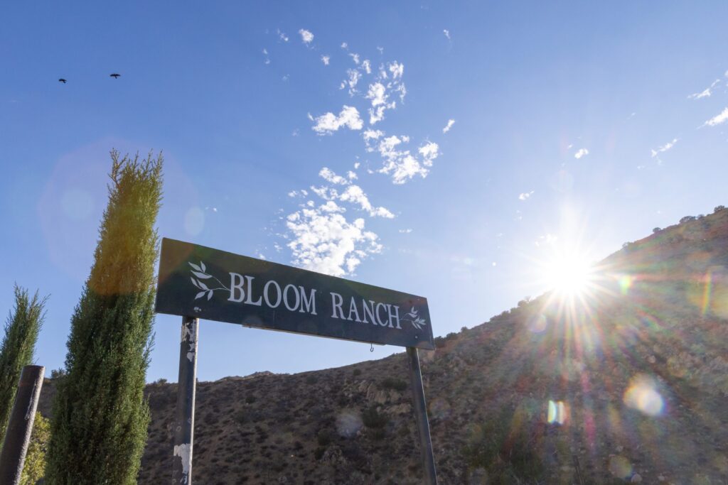 20250921 Elramsisy.M 369 scaled.jpg