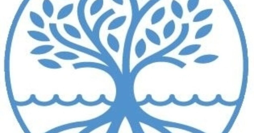 416378638 873713291207321 339129334426992965 n 1.jpg