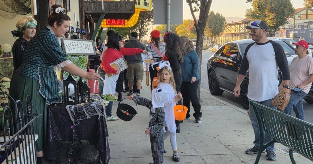 6908ec6071e45.image .jpg