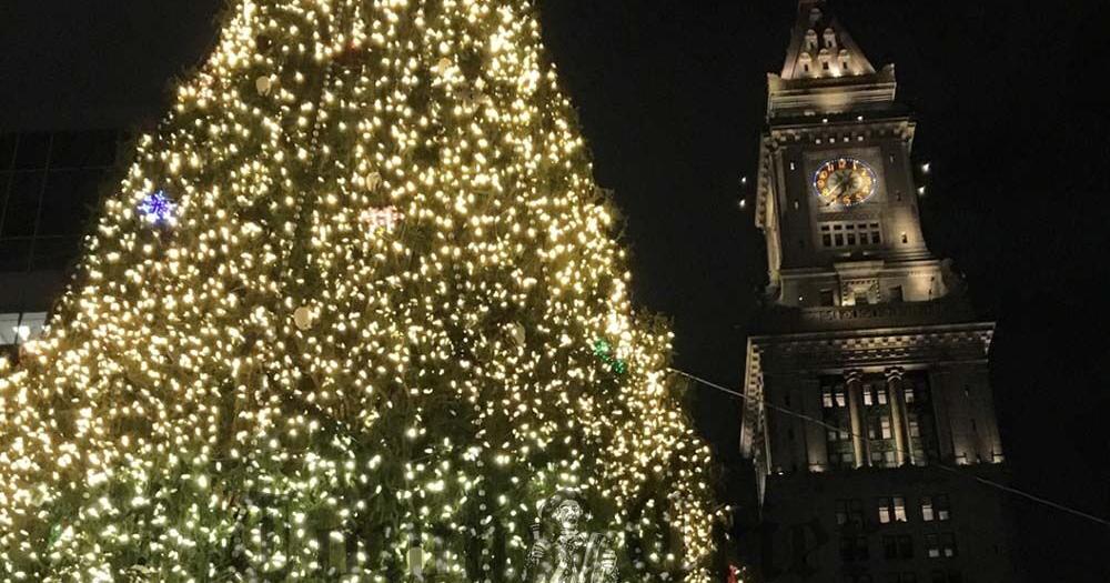 Lifestyle: Tree lighting ceremonies will light up December | News 6914eb569ca93.image .jpg