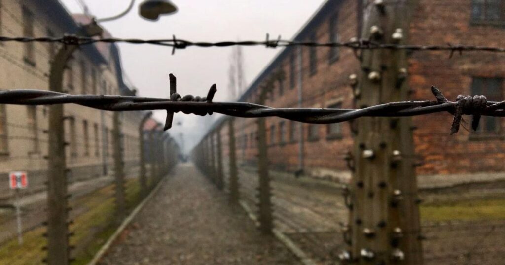 691c9be899b28.image .jpg