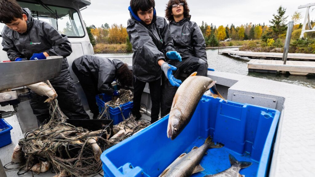 6d06b1 20251031 laketrout017 2000.jpg