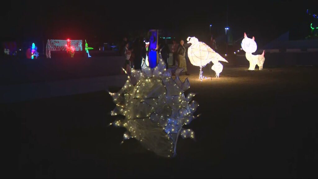 ‘Rayenari’ festival illuminates arts and culture 9dbfbd60 e3a8 47bb bf67 00c60a293895 FestivalCelebratesartinSunlandParkNewMexico.jpeg