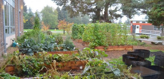 Floretum Garden Club accepting applications for educational gardening grants DSC 0931 e1476818272668.jpg