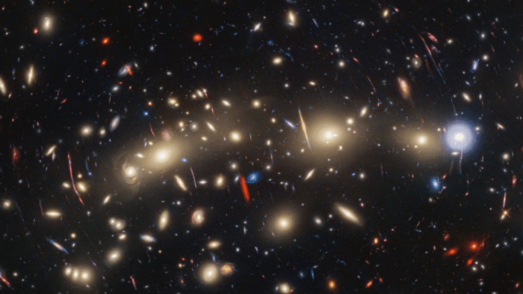 UjVzAP7Gg7paFedtueN3zf 1600 80.png