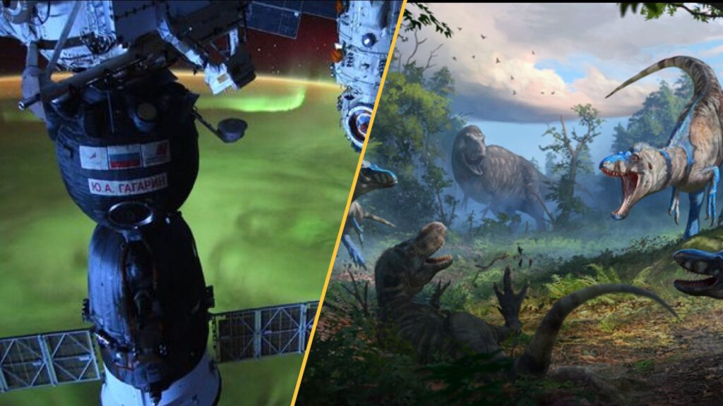 Vvsmvfykrkgjpiovmriole 1600 80.jpg