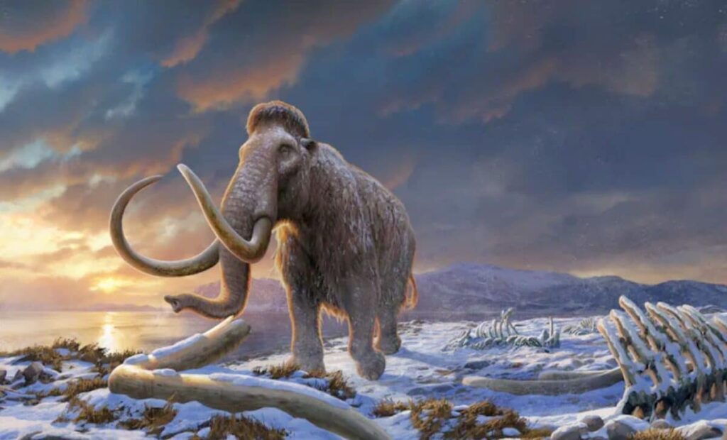 World’s Oldest RNA Resurrected From a Mammoth Frozen for 39,000 Years Worlds Oldest RNA Resurrected From a Mammoth Frozen for 39000 Years scaled.jpg