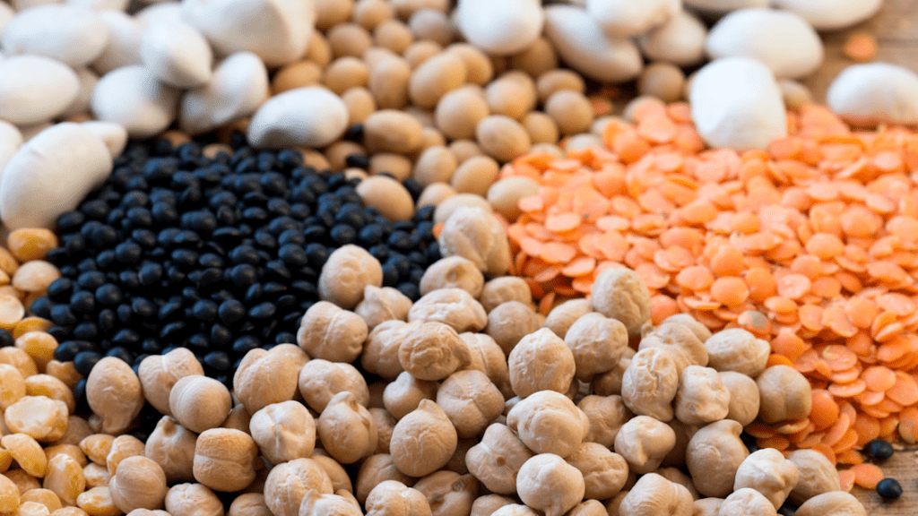 Frontiers nutrition vegan diet ecological footprint reduced.png