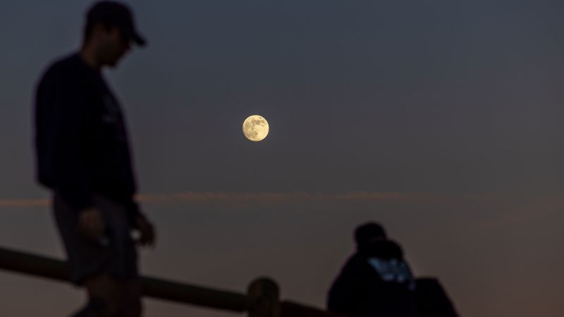 November full beaver moon and Southern Taurid meteor shower: When to watch the peak Gettyimages 2184092159.jpg