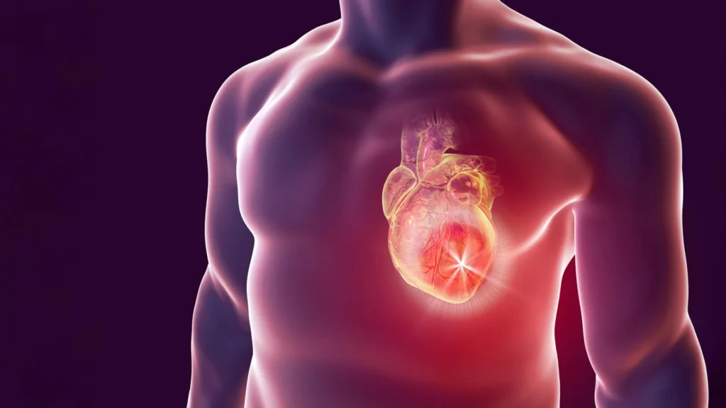 Think melatonin is safe? New research reveals a hidden heart risk Heart attack science photo.webp.webp