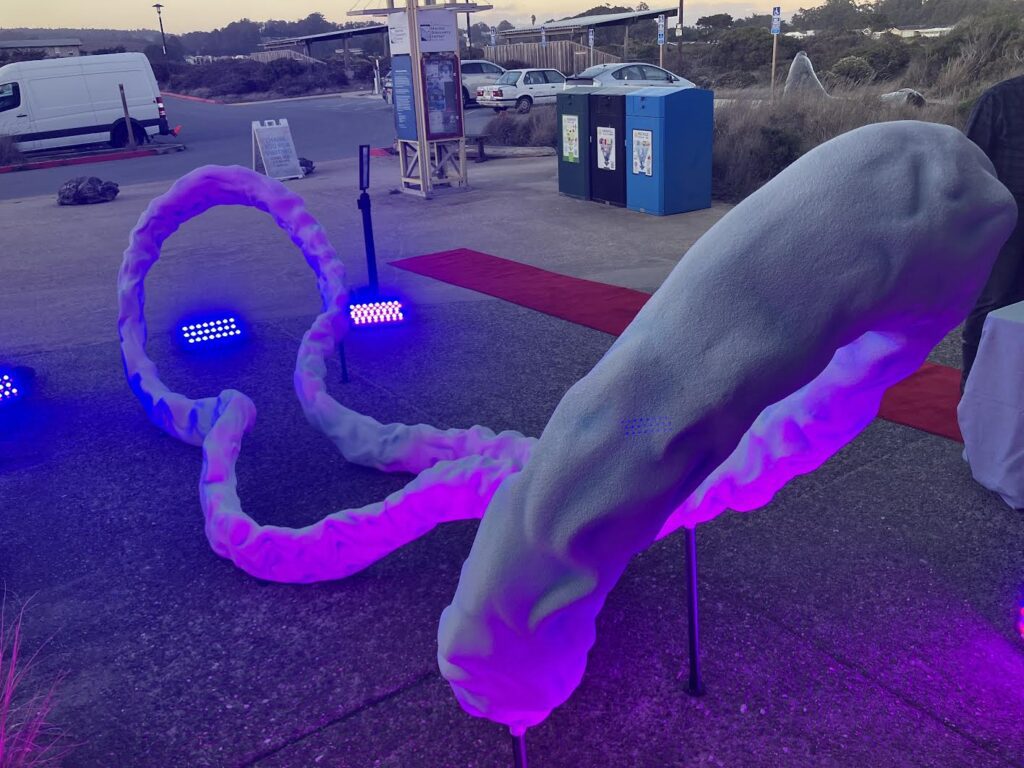 Humanistic approaches to urgent environmental issues Micha art .jpg