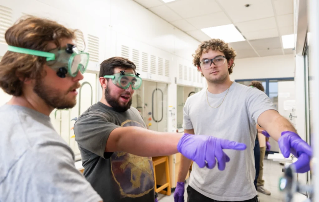 Stem teacher feed.webp.webp