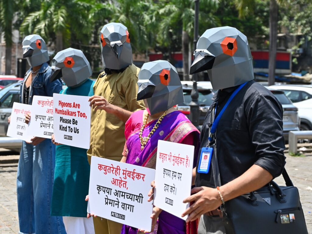 North Country Public RadioThe Culture War Over Pigeon Feeding in MumbaiThis year authorities in Mumbai, India banned feeding pigeons in public spaces over health concerns. That might seem like a minor civic act….4 hours ago Urlhttp3A2F2Fnpr brightspot.s3.amazonaws.com2Fee2F3e2Fbe84bf9b4d26aa456e40e53938052Fgettyim.jpeg