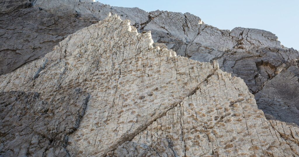 Thousands of dinosaur footprints found near Winter Olympics venue in Italy 251217 italy dinosaur discovery mb 0809 6fa768.jpg